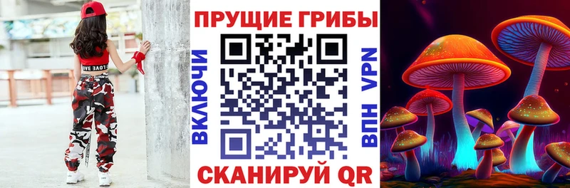 Псилоцибиновые грибы мицелий  Беслан 