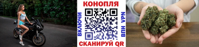 Бошки Шишки OG Kush Беслан